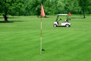 bigstock-Golf-Course-And-Vehicle-1731674