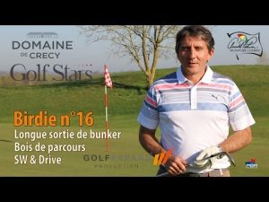 Série Birdie n°16 - Domaine de Crécy Arnold Palmer - Cours de golf en situation